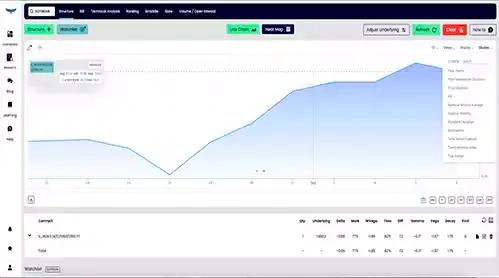 Options Backtesting Software-image